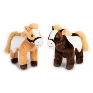Chester Cavallo (Grs) di Venturelli