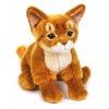 Chris Gatto Abissino My Puppy di Venturelli