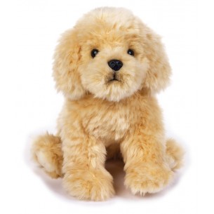 Paddy Barboncino My Puppy di Venturelli