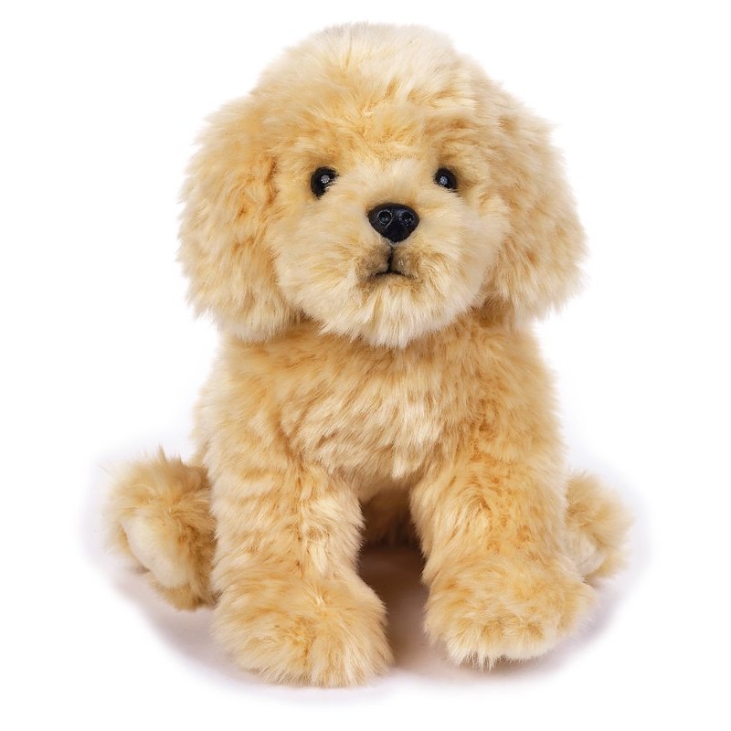 Paddy Barboncino My Puppy di Venturelli