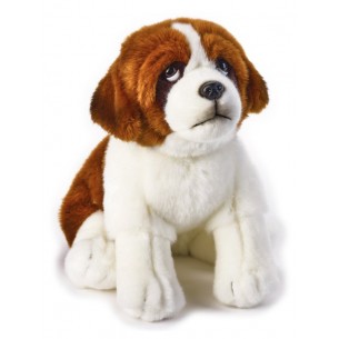Berny S. Bernardo My Puppy di Venturelli