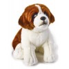 Berny S. Bernardo My Puppy di Venturelli