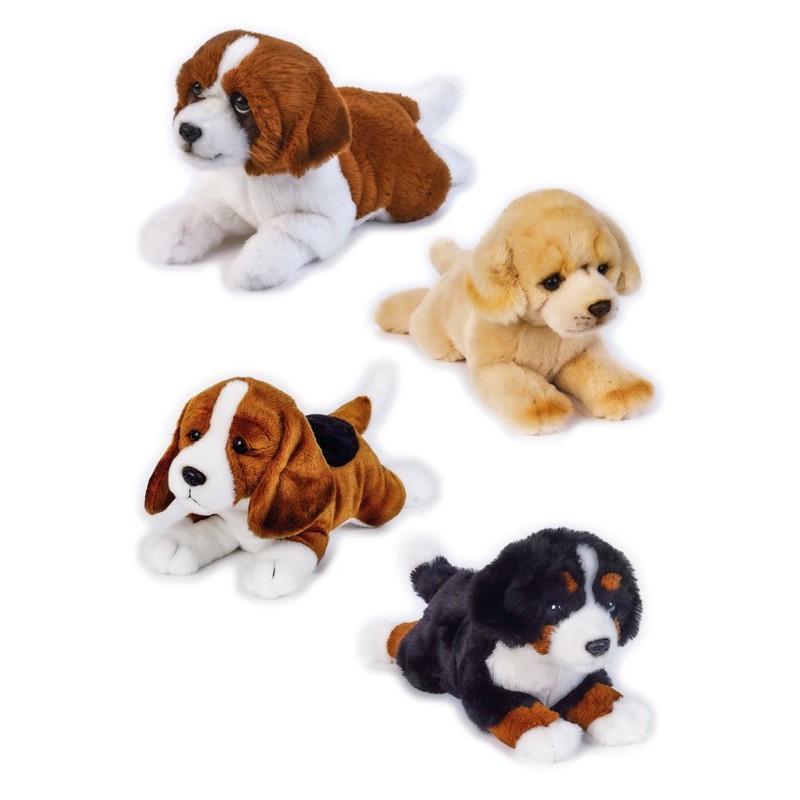Pets Dogs Stesi Ass. My Puppy di Venturelli
