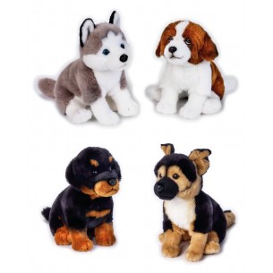 Pets Dogs Seduti Ass. My Puppy di Venturelli