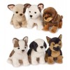 Furry Puppies Cani Ass. di Venturelli