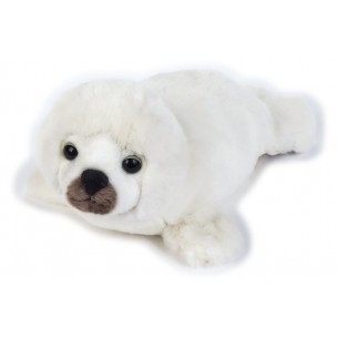 Foca di Venturelli