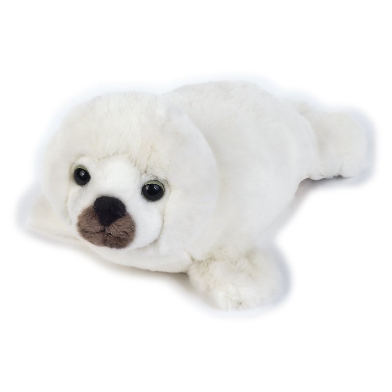 Foca di Venturelli