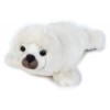 Foca di Venturelli