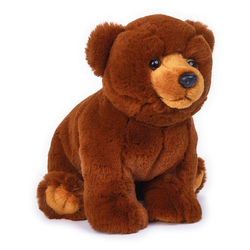 Orso Bruno di Venturelli