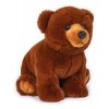 Orso Bruno di Venturelli
