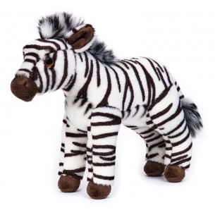 Zebra di Venturelli