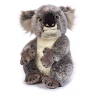 Koala di Venturelli