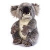 Koala di Venturelli