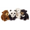 Furry Puppies Orsi Ass. di Venturelli