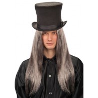 Parrucca Liscia Lunga Grigia in Busta di Carnival-Toys