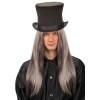 Parrucca Liscia Lunga Grigia in Busta di Carnival-Toys