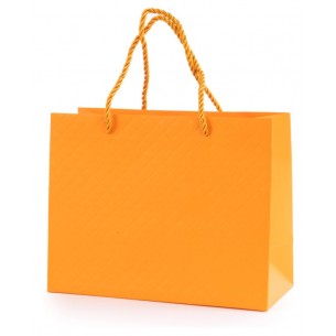 Cf. 10 Shopper Brigitte Col. Arancione - 18x10x23 Cm - 210 Gr di Star