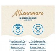 Ombrellone Athena 200cm di Athena Mare