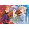 Maxipuzzle 60 Pz Frozen 2 di Clem-30 Puzzle Maxi 60 Pz