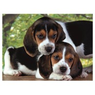 Puzzle 500 Close Together di Clem-44 Puzzle 500 Pz