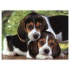 Puzzle 500 Close Together di Clem-44 Puzzle 500 Pz