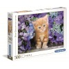 Puzzle 500 Gattino Rosso di Clem-44 Puzzle 500 Pz