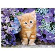 Puzzle 500 Gattino Rosso di Clem-44 Puzzle 500 Pz