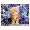 Puzzle 500 Gattino Rosso di Clem-44 Puzzle 500 Pz
