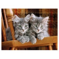 Puzzle 500 Kittens di Clem-44 Puzzle 500 Pz
