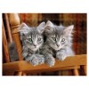 Puzzle 500 Kittens di Clem-44 Puzzle 500 Pz