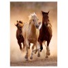 Puzzle 1000 Running Horses di Clem-45 Puzzle 1000 Pz