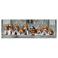 Puzzle 1000 Panorama Beagles di Clem-45 Puzzle 1000 Pz