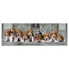 Puzzle 1000 Panorama Beagles di Clem-45 Puzzle 1000 Pz