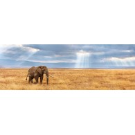 Puzzle 1000 Pz Lost di Clem-45 Puzzle 1000 Pz
