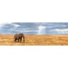 Puzzle 1000 Pz Lost di Clem-45 Puzzle 1000 Pz
