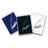 Blocco Mont Blanc 10x15 5mm di Pigna