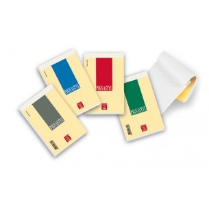 Blocchi Pignastyl A6 Ff.70 Pmcarta 80g/M2 Rig.5m