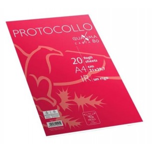 Protocollo 20fg 80gr 1 Rigo di Pigna