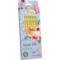 Espositore Scrittura Flowers Preallestito - Temperini, Colle Stick, Agende, Matite, Penne, Correttori, Gomme di Pigna