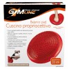 Cuscino Propriocettivo di Mandelli