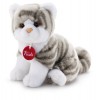 Gattino Brad Tigrato Grigio S di Trudyclassic Gatti