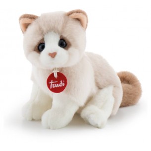 Gattino Brad Bianco/Beige S di Trudyclassic Gatti