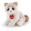Gattino Brad Bianco/Beige S di Trudyclassic Gatti