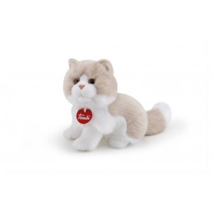 Gatto Giada S di Trudyclassic Gatti