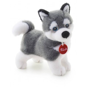 Husky Marcus S di Trudy Classic Cani