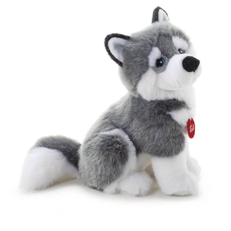 Husky Marcus M di Trudy Classic Cani