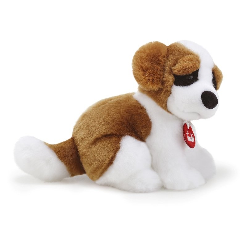 San Bernardo Bob S di Trudy Classic Cani