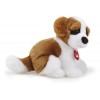 San Bernardo Bob S di Trudy Classic Cani