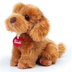 Barboncino Toy Oliver Seduto S di Trudy Classic Cani