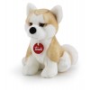 Akita Ascanio S di Trudy Classic Cani